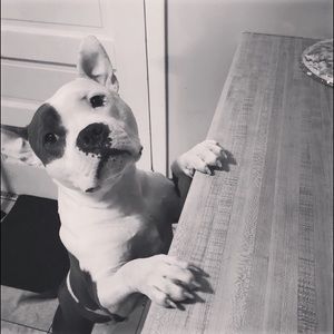 Meet your Posher, Eric